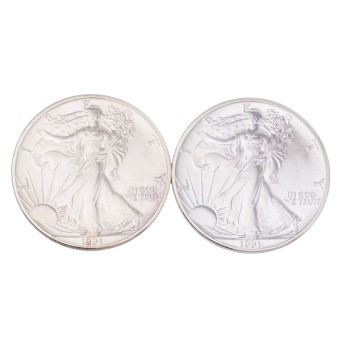 USA/SILBER – 2 x 1 Dollar 1991 American Eagle, je 1 Unze