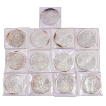 USA/SILBERsammlung 13x 1 Dollar "Silver Eagle"