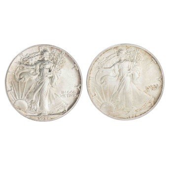 USA/SILBER 2x 1 Dollar "Silber Eagle" 1987/1991