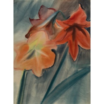 BÖHME, GERD (1899-1978), 'Amaryllis',