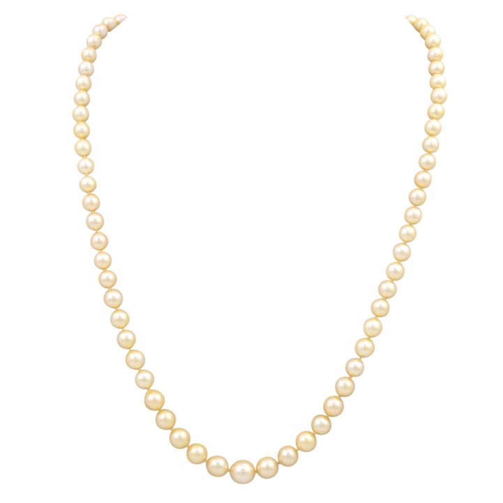 Pearl necklace  