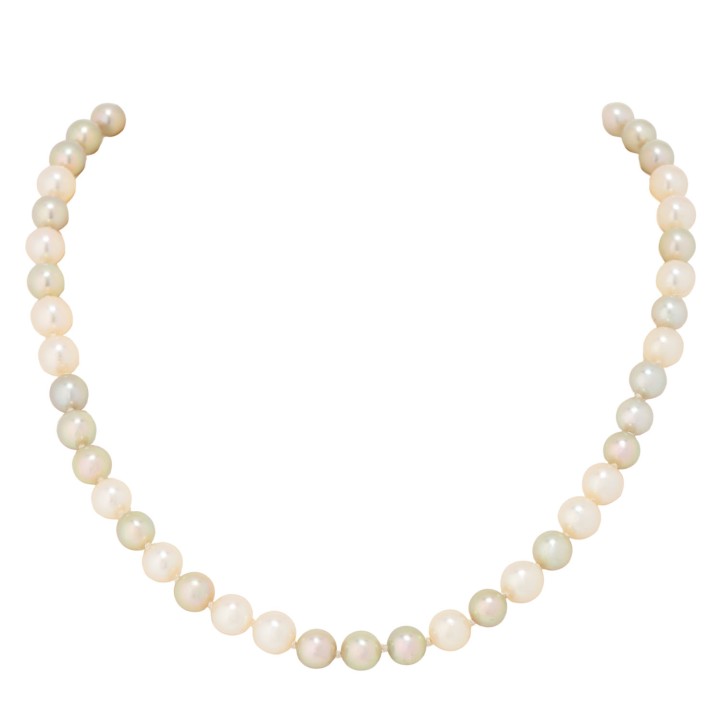 Mehrfarbige Akoya-Zuchtperlenkette  