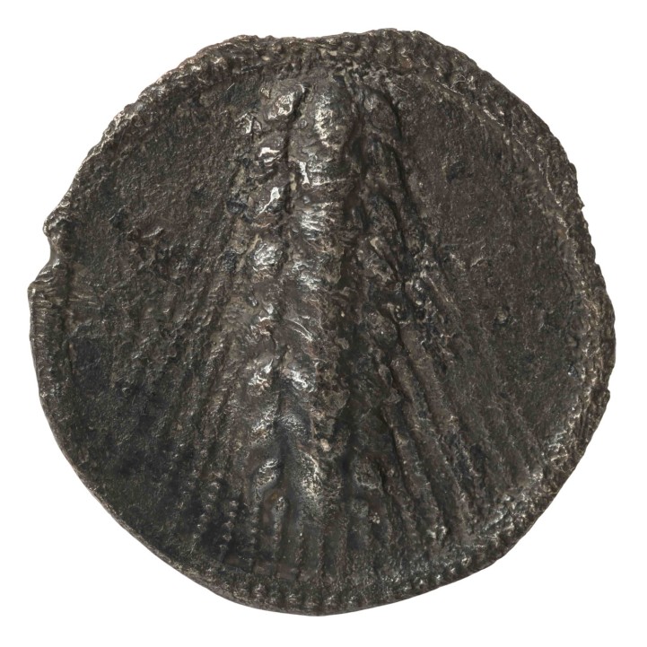 Antike / Lukanien, METAPONT (griechisch)  - Nomos, Stater  (510 - 490 vor Christus), 