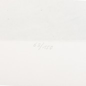 morepic-10