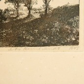 morepic-11