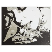 morepic-11