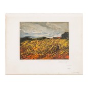 morepic-11