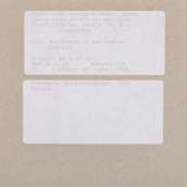 morepic-11