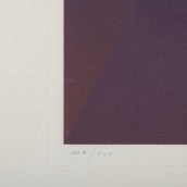 morepic-12