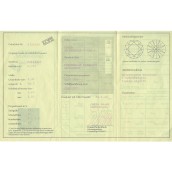 morepic-2