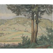 morepic-2
