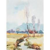 morepic-2