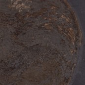 morepic-2
