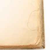 morepic-2