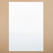 morepic-3