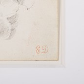 morepic-3