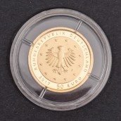 morepic-3