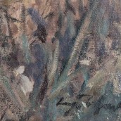 morepic-3