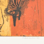 morepic-3
