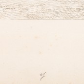 morepic-3