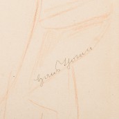 morepic-3