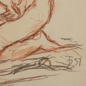 morepic-3