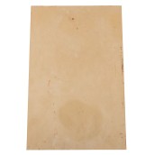 morepic-3