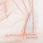 morepic-3