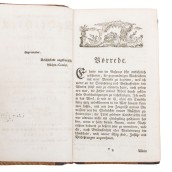 morepic-3