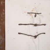 morepic-3