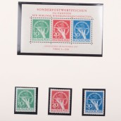 morepic-3