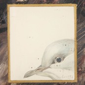 morepic-3
