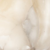 morepic-3