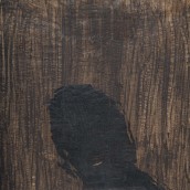 morepic-3