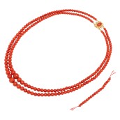 morepic-3
