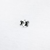 morepic-3