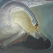 morepic-4