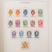 morepic-4
