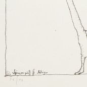 morepic-4
