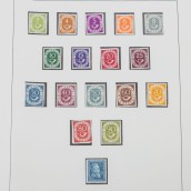 morepic-4