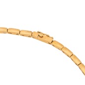 morepic-4