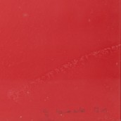morepic-4