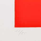 morepic-4
