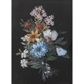 morepic-4