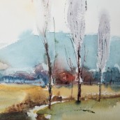morepic-4