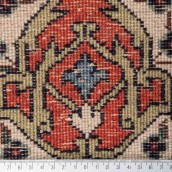 morepic-4