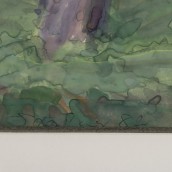 morepic-4