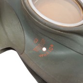 morepic-4