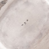morepic-4