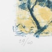 morepic-4